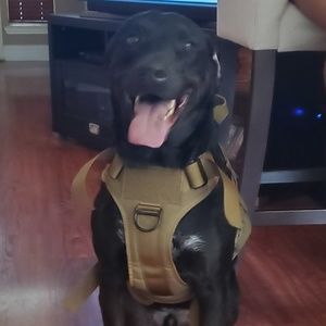 Meet your Posher, Jose